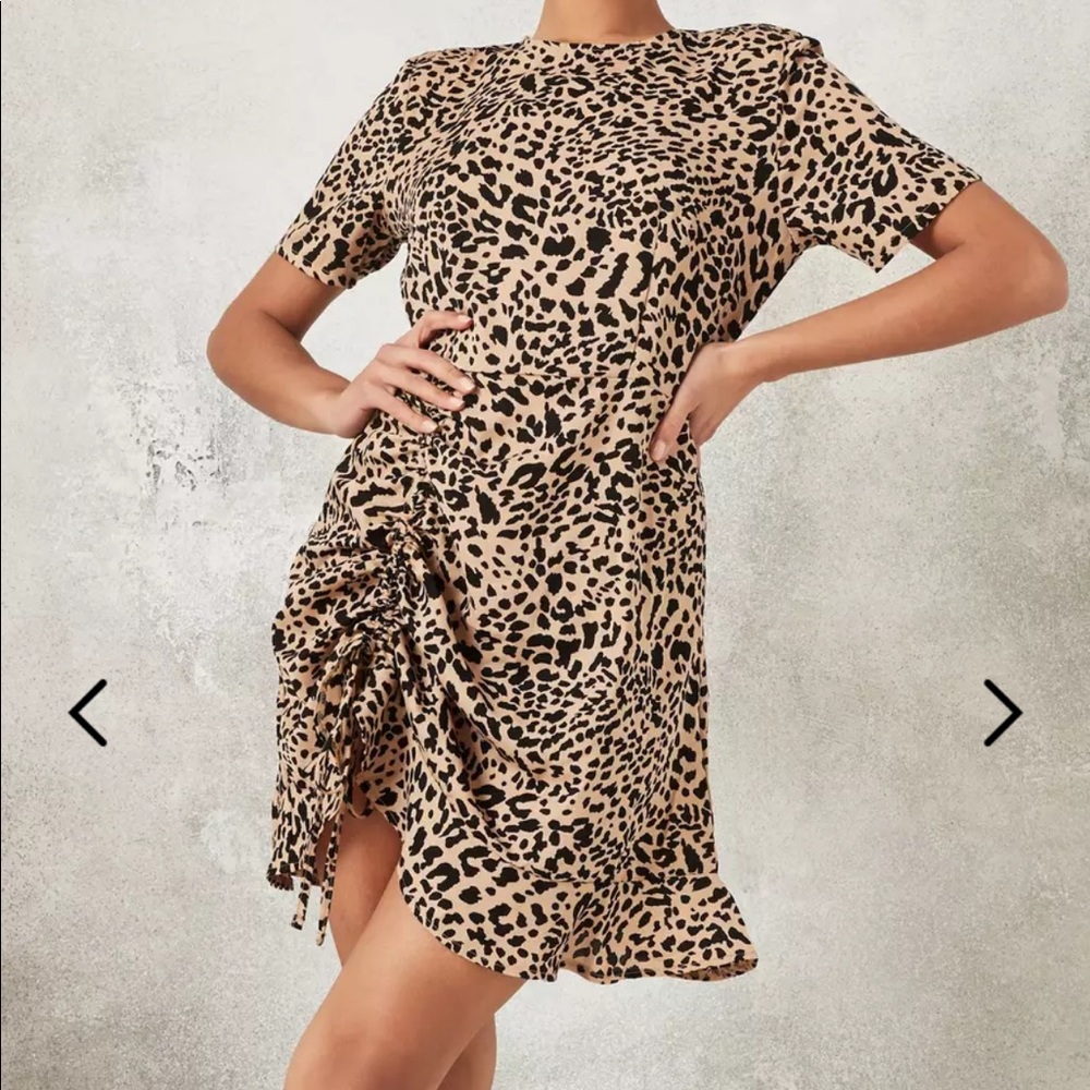 Missguided Animal Print Dress